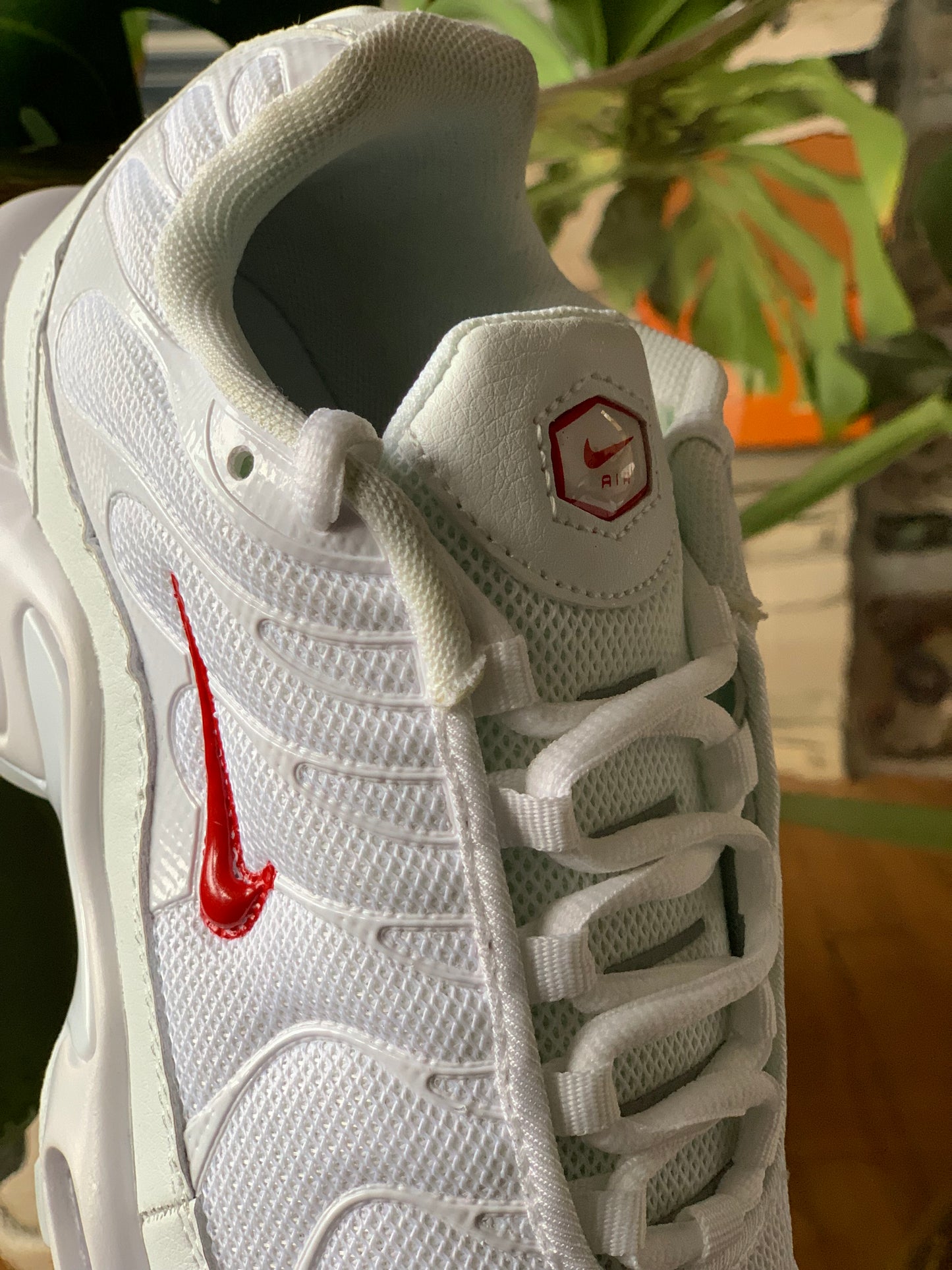 Nike Air Max Tn x Supreme