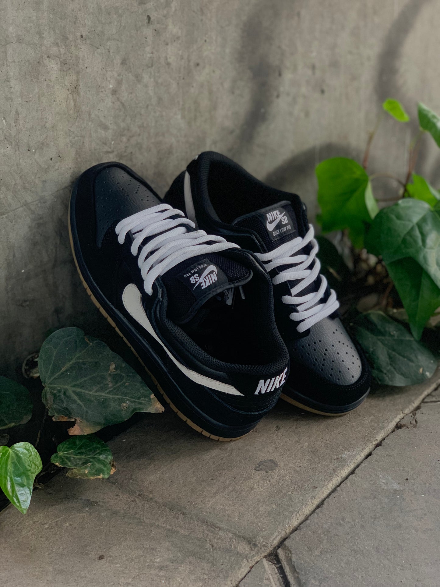 Nike SB Dunk Low Black/White/Gum