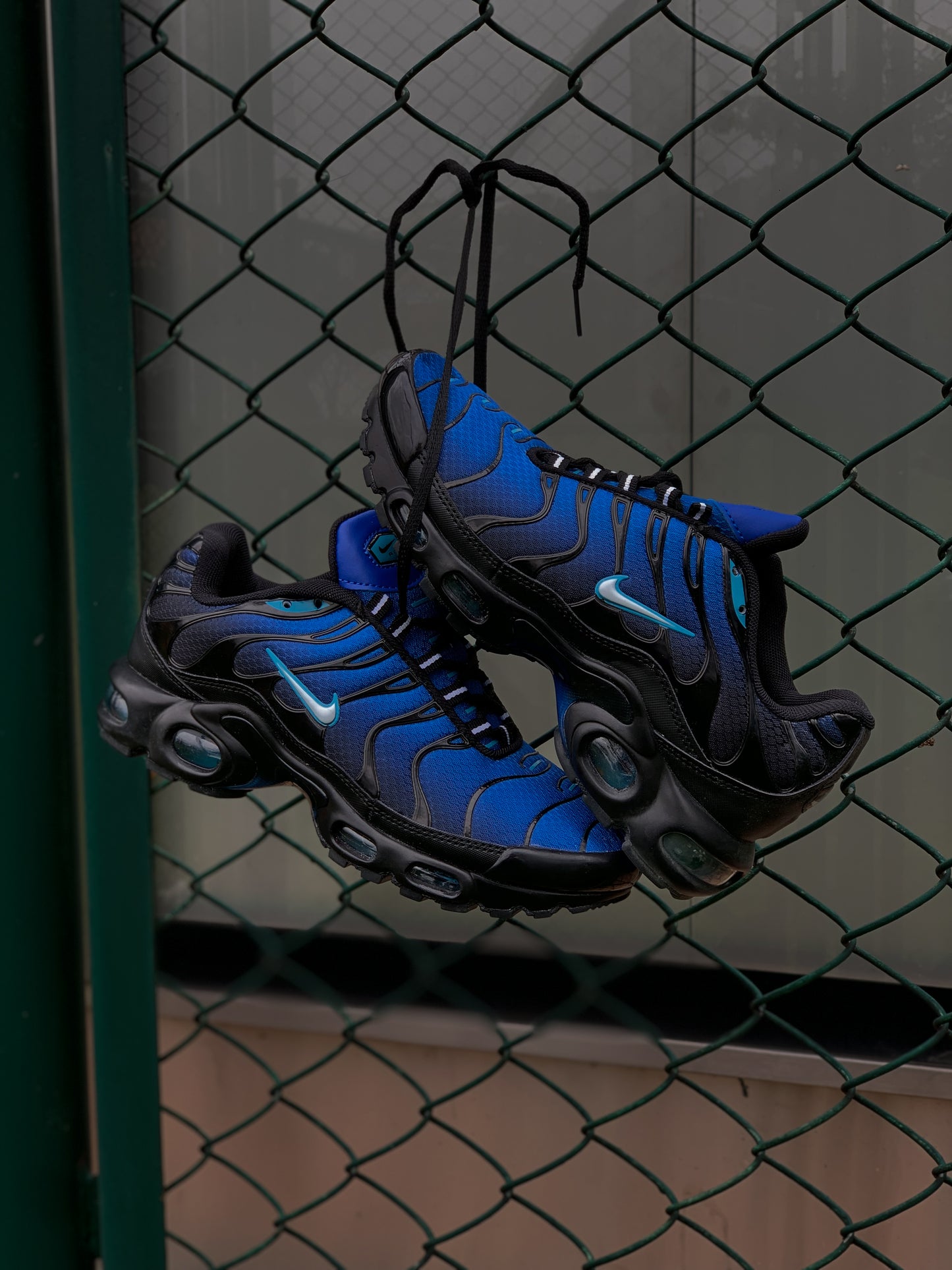 Nike TN Air Max Azul