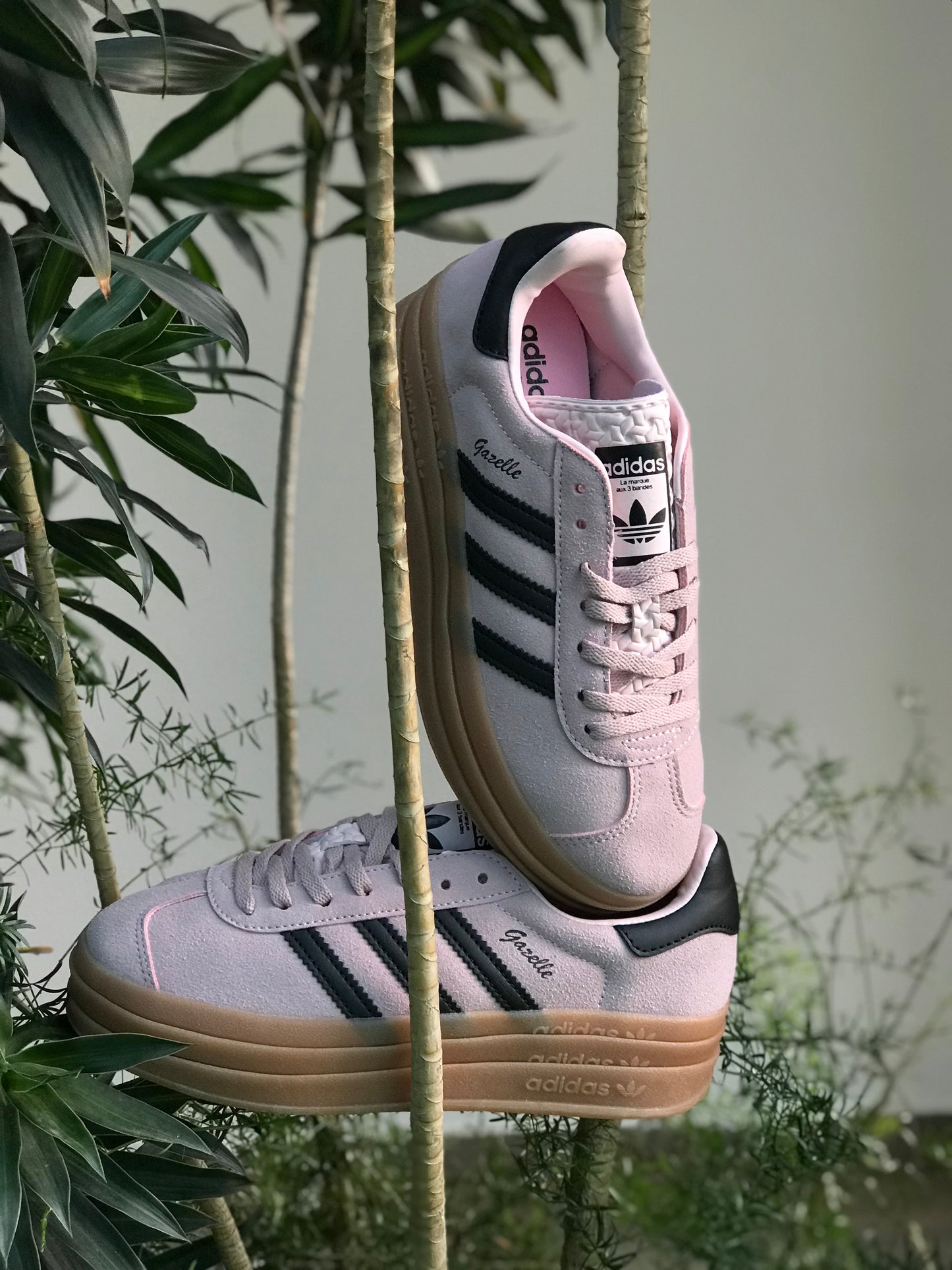 Adidas Gazelle Bold