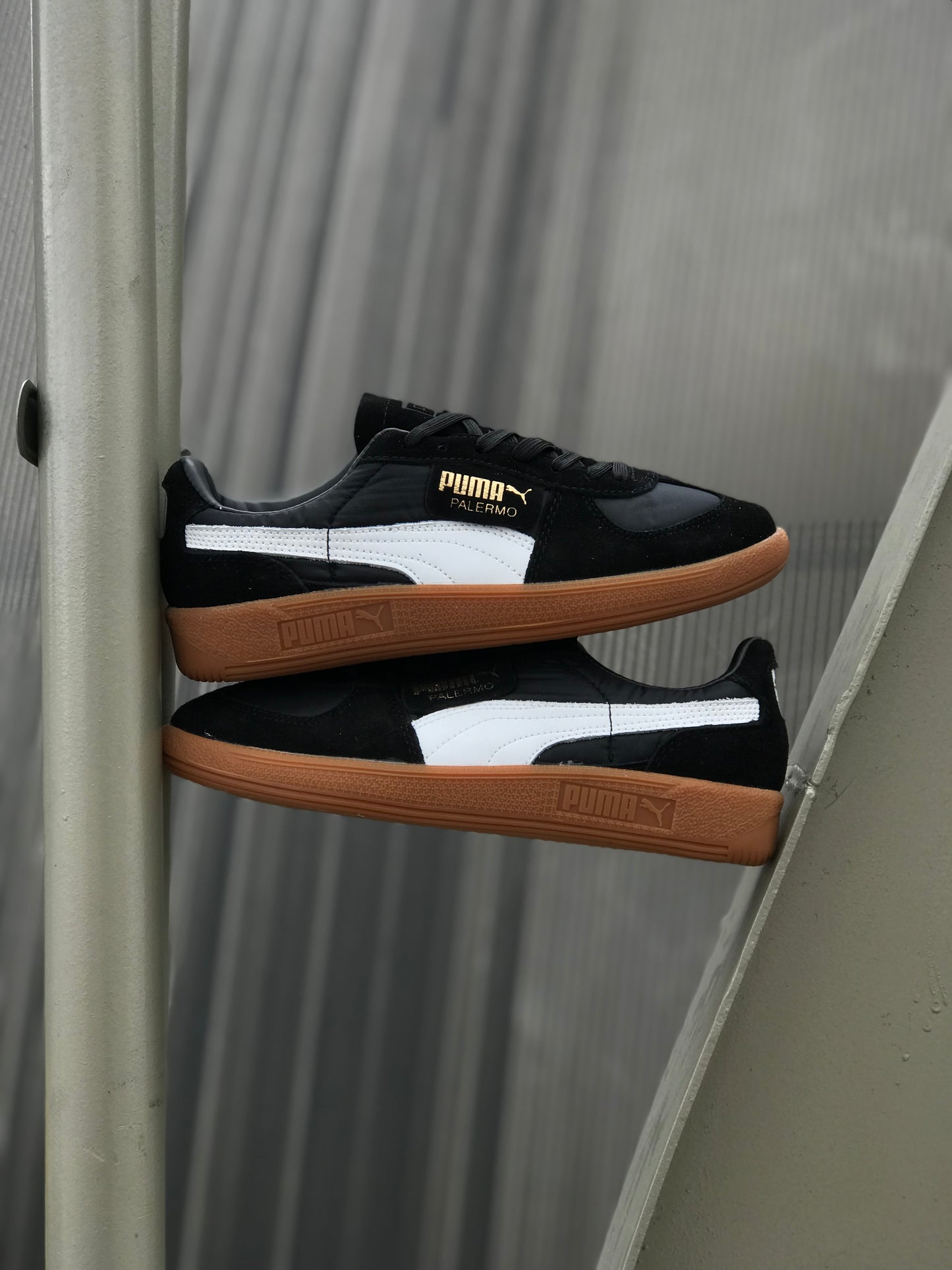 Puma Palermo Negra