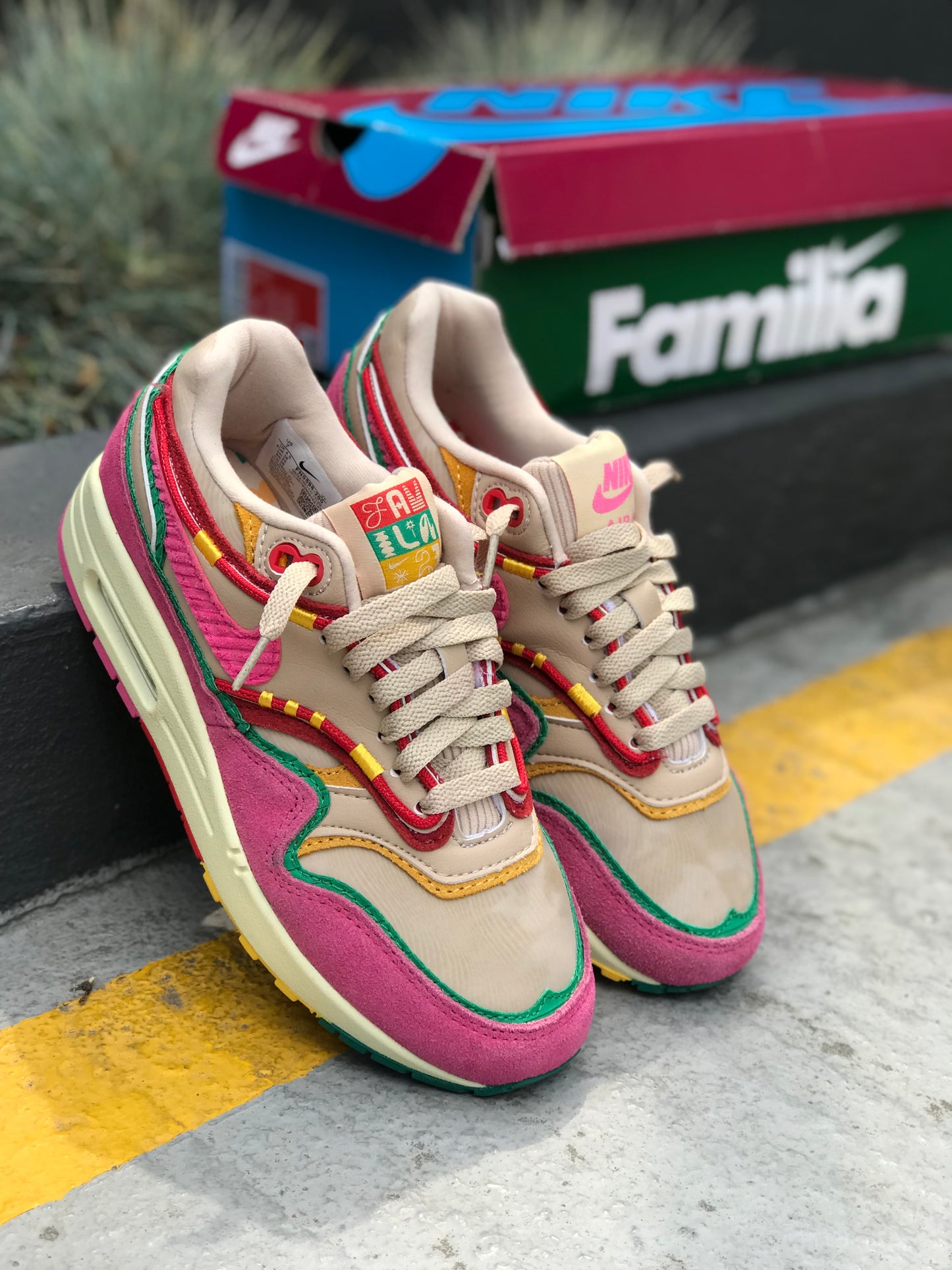 Nike Air Max 1 “Familia”