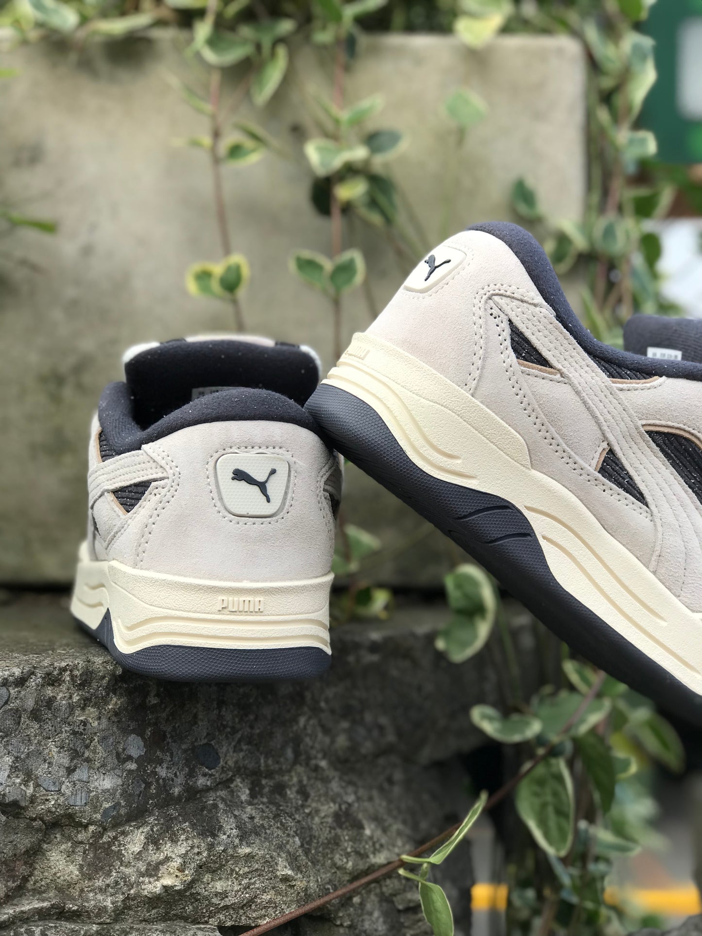 Puma 180 Copduroy “Cream Black”