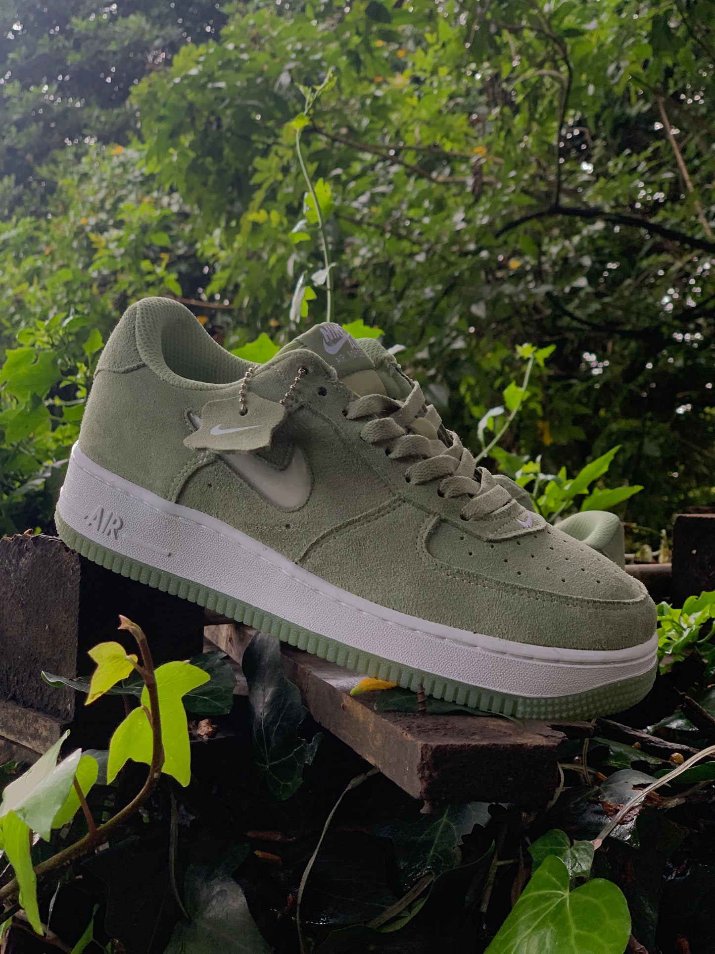 Nike Air Force One "Color of the month"