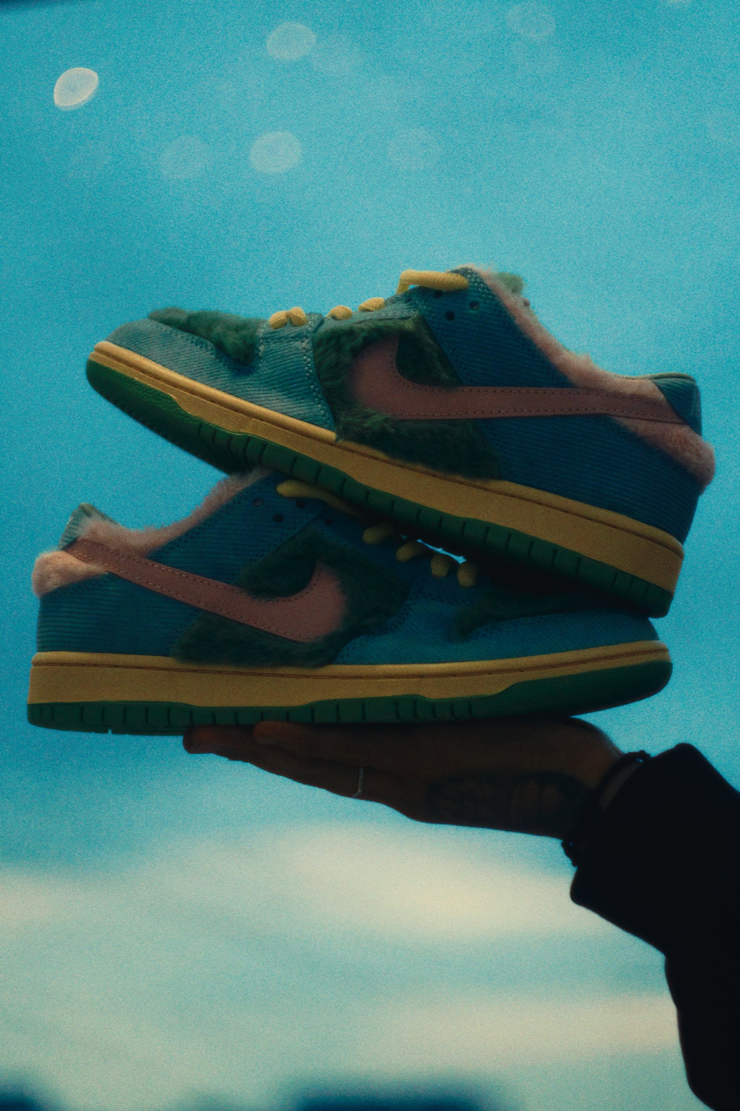Nike SB Dunk Low Pro x Verdy