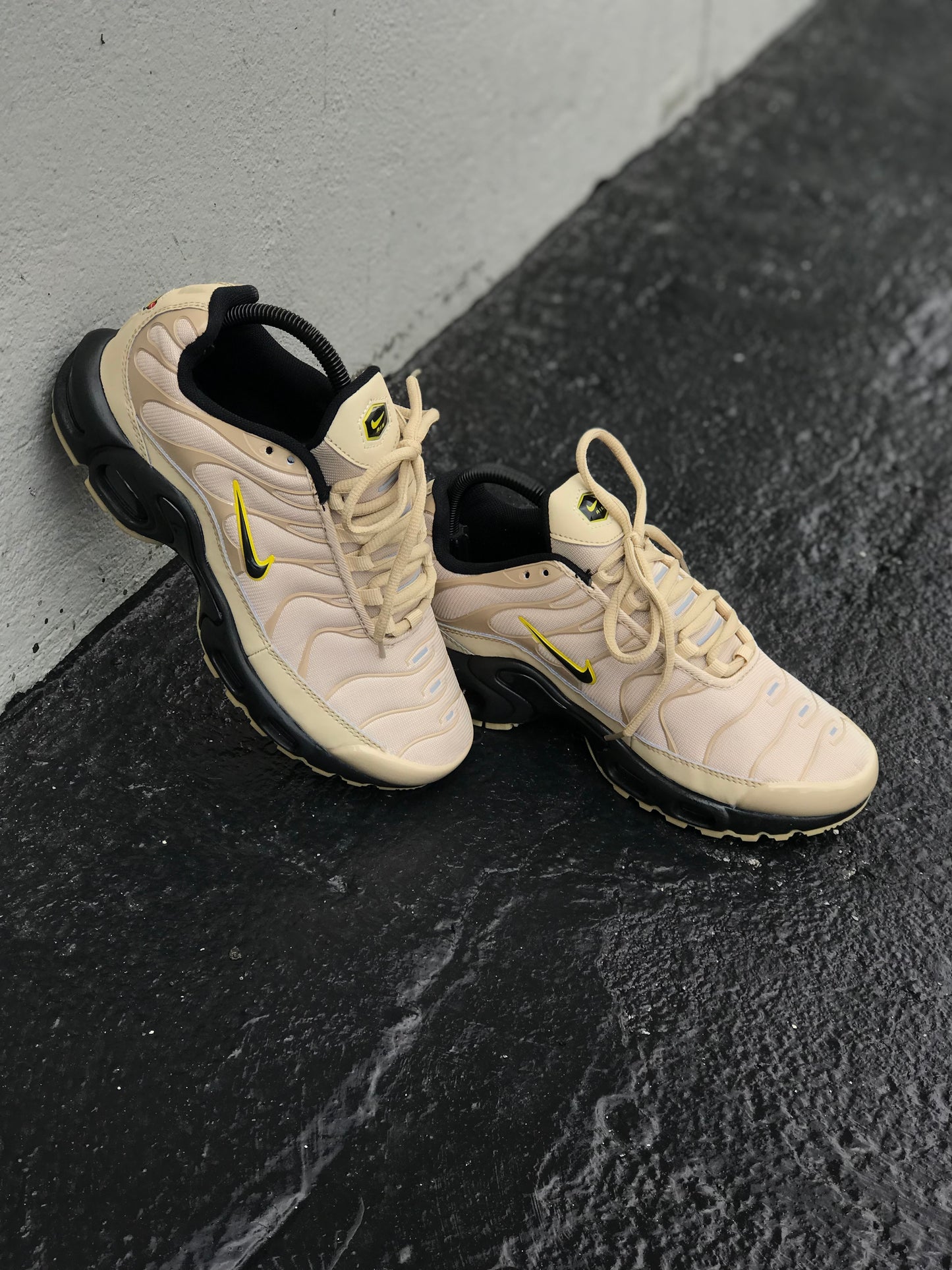Nike Air Max Plus TN Arena
