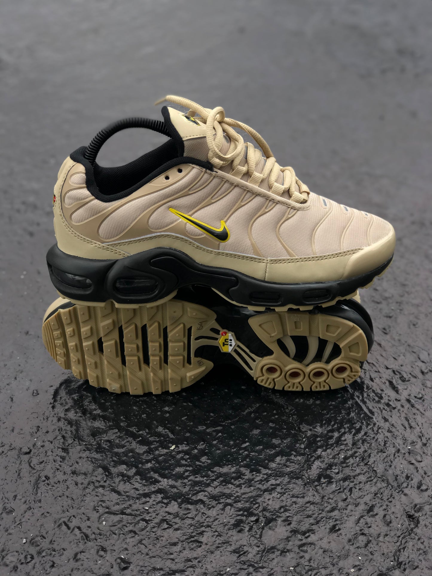 Nike Air Max Plus TN Arena