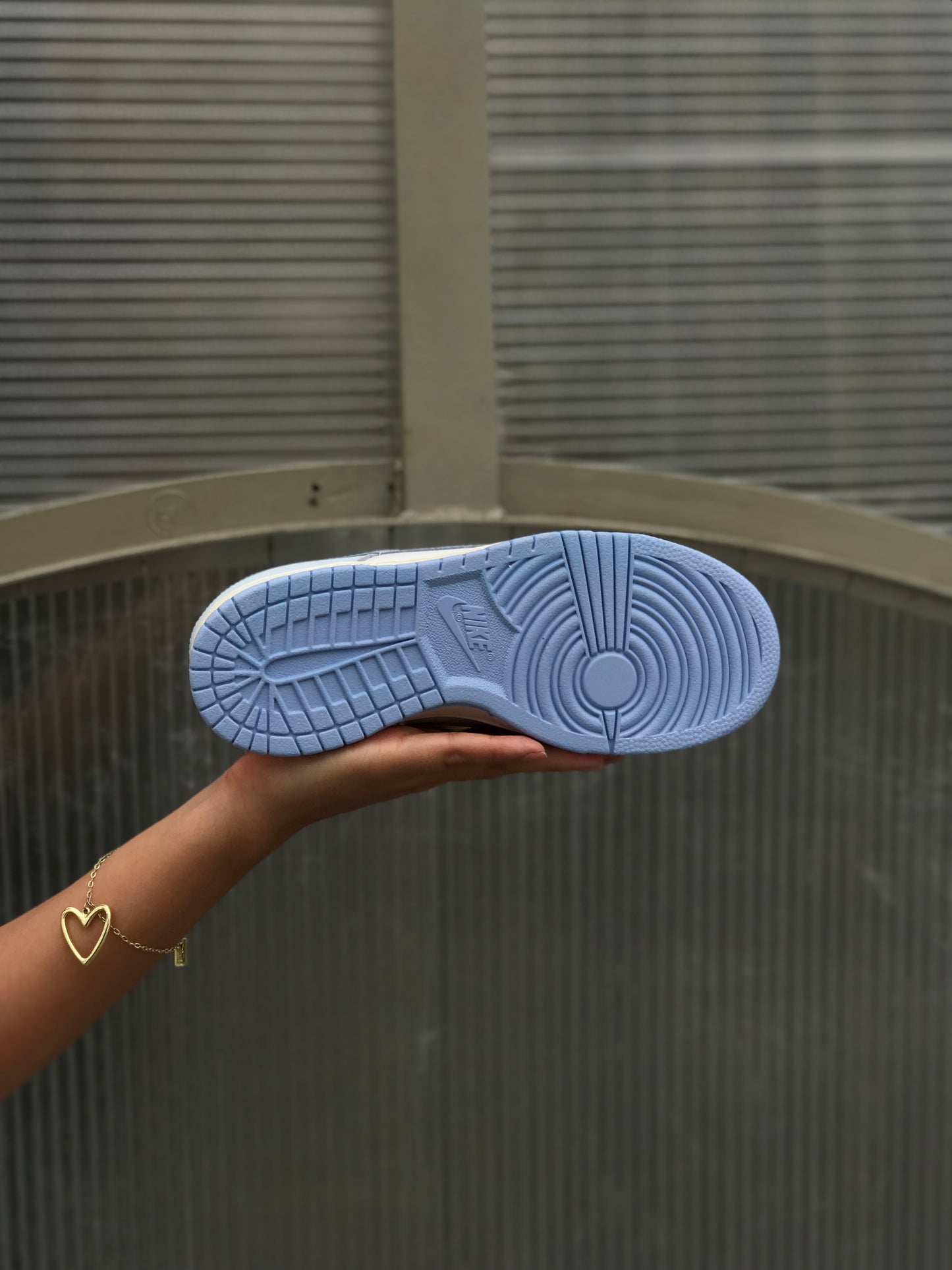 Nike Sb Dunk Low Lila