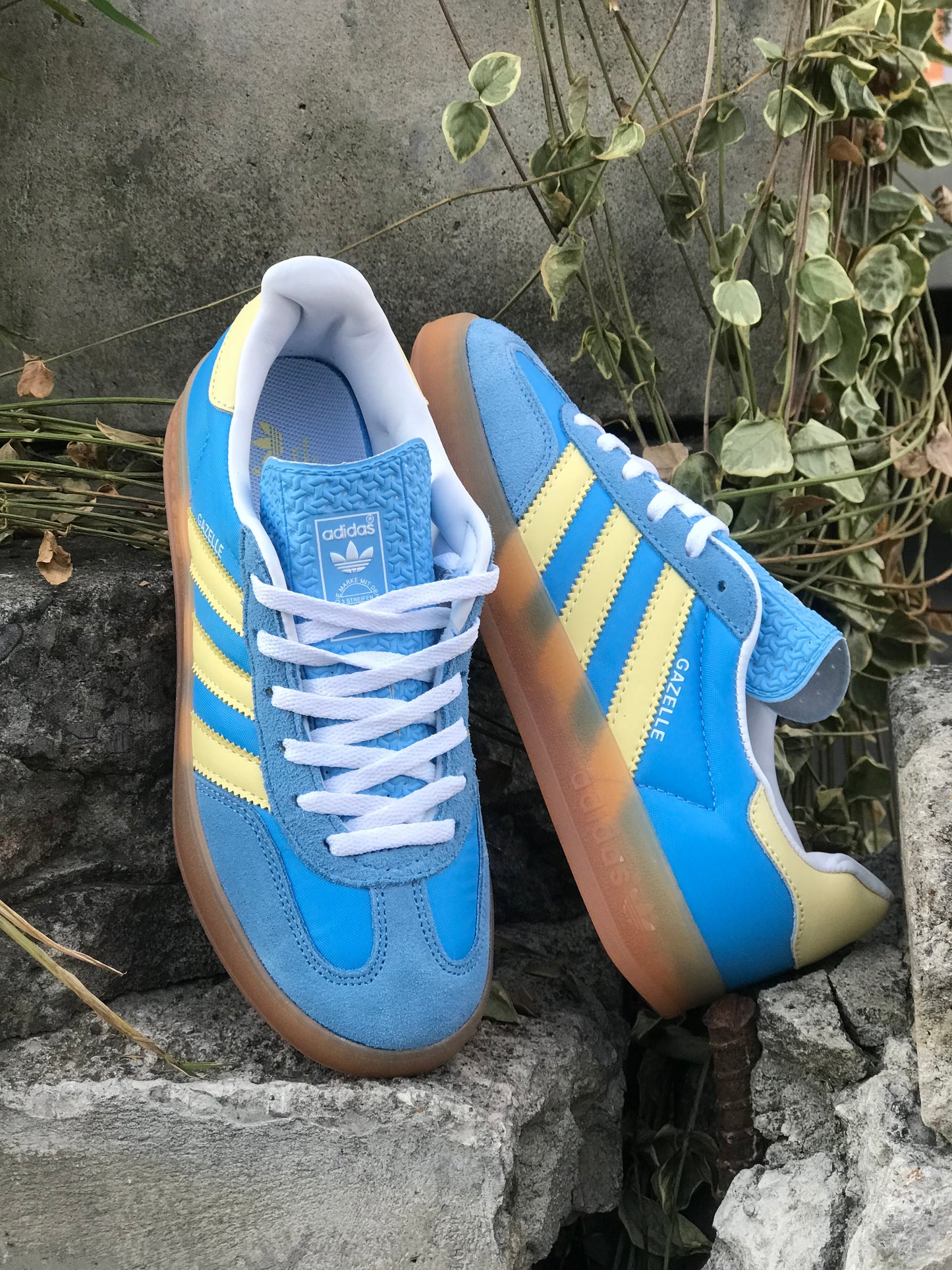 Adidas Gazelle Indoor Azul Amarilla