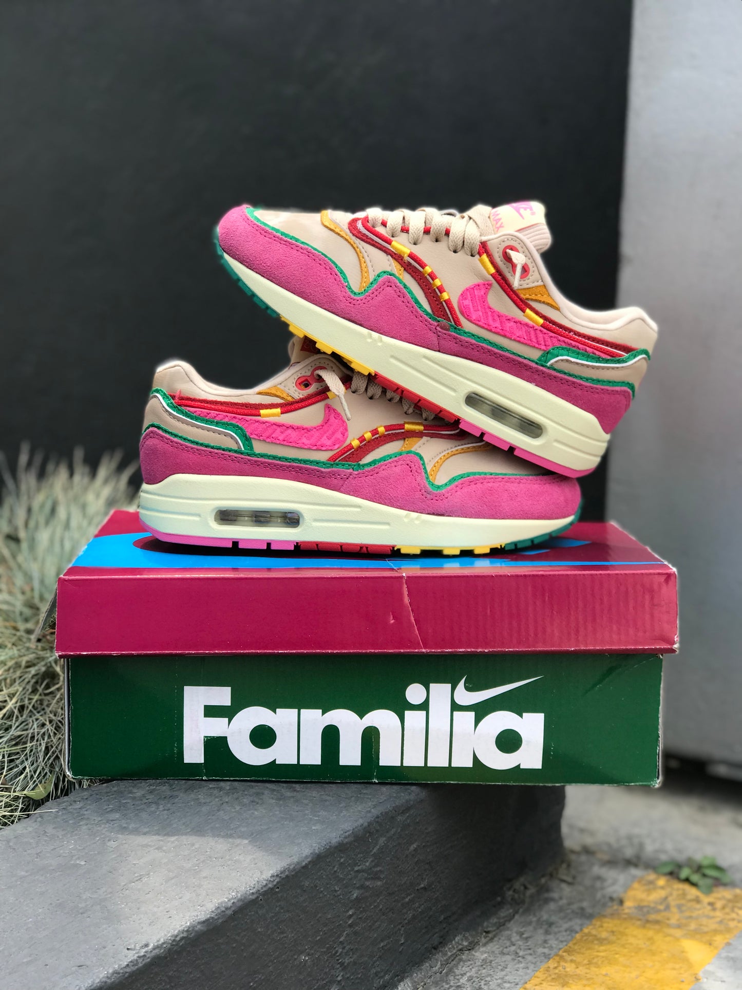 Nike Air Max 1 “Familia”