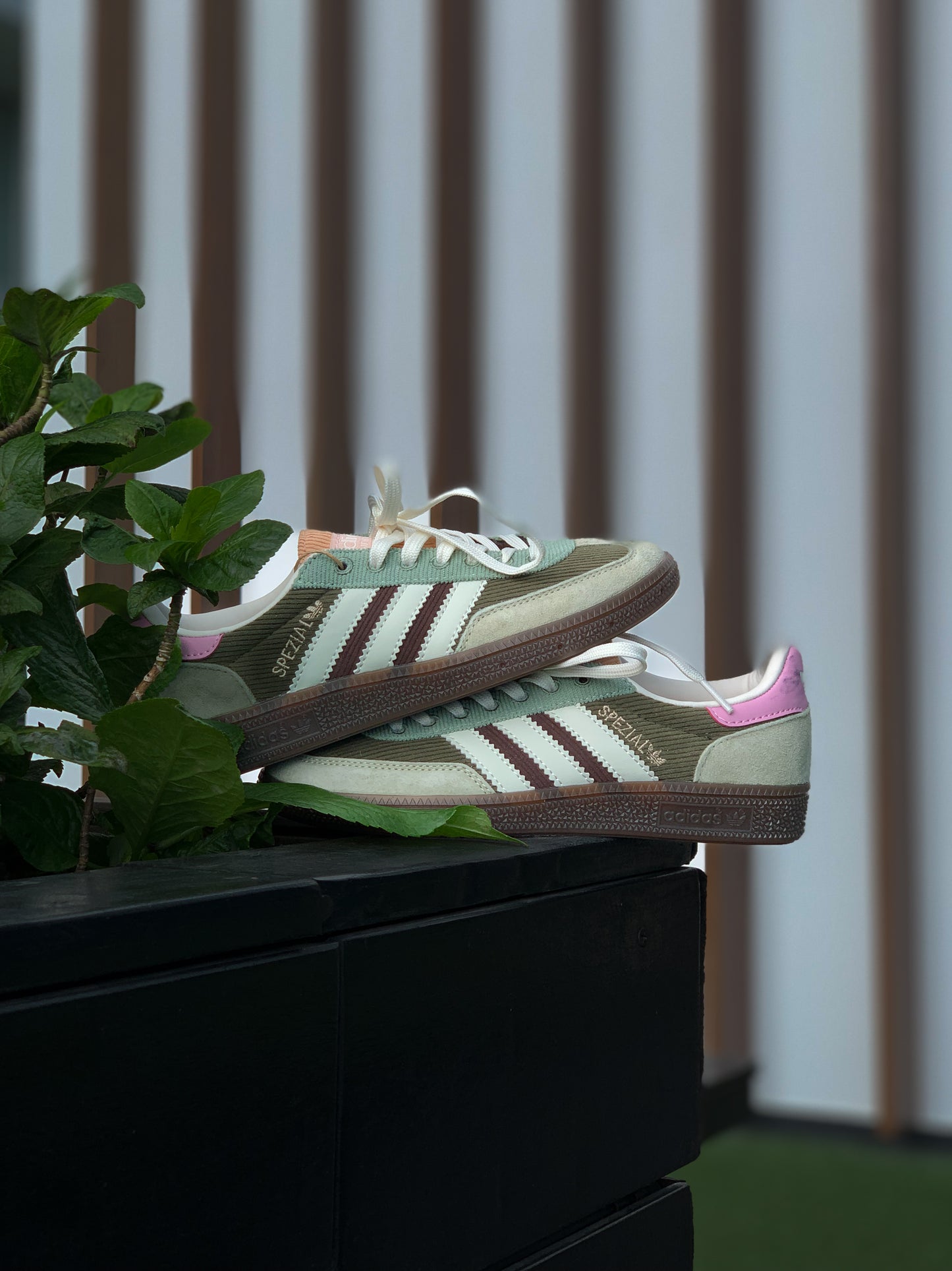 Adidas Spezial