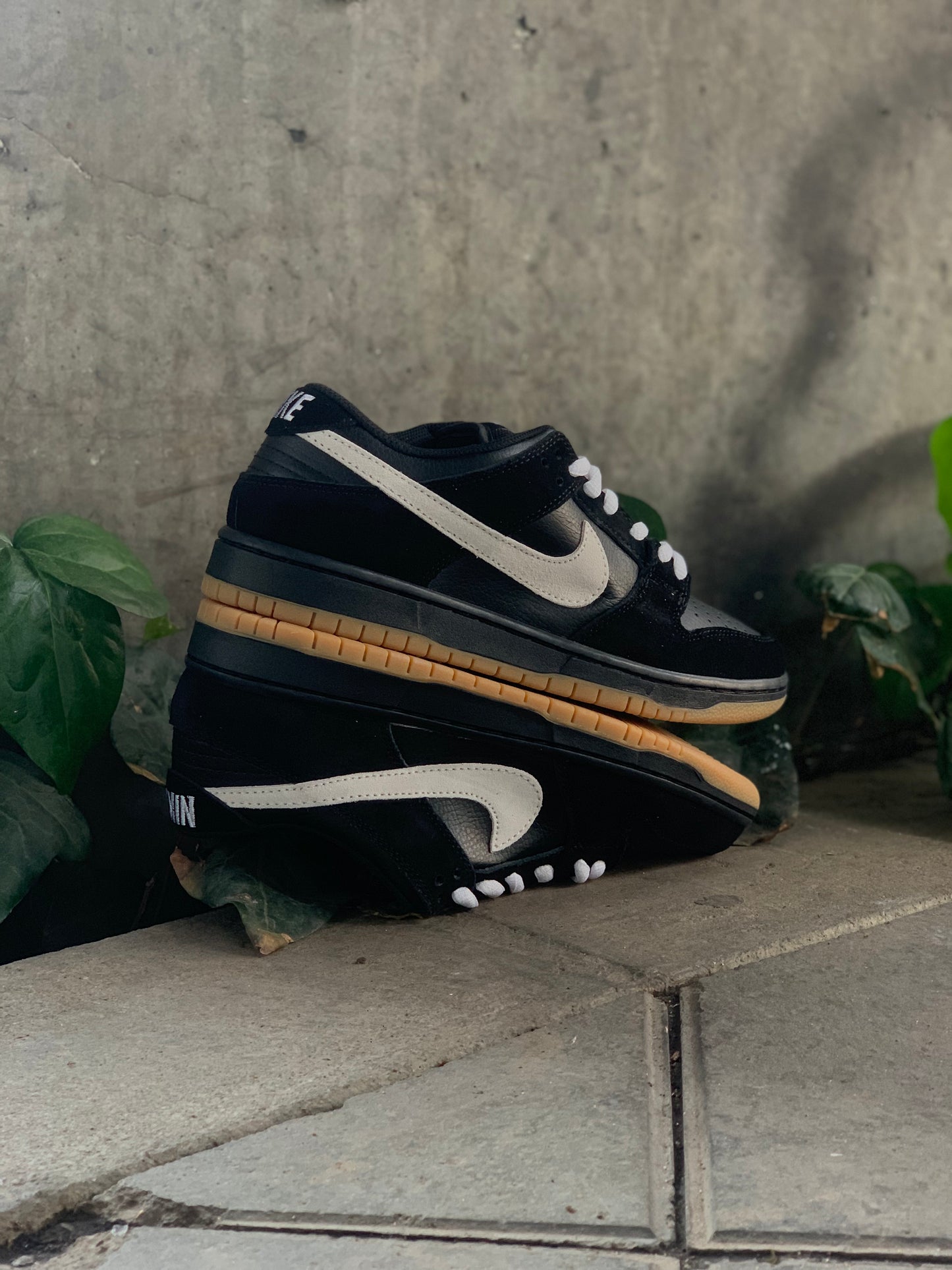 Nike SB Dunk Low Black/White/Gum