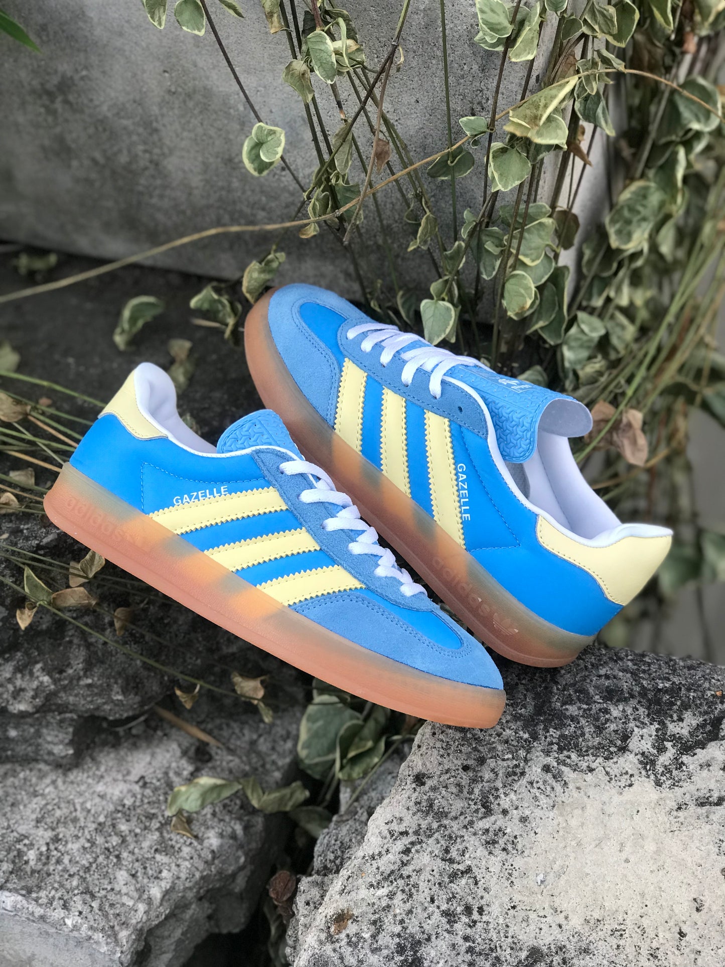 Adidas Gazelle Indoor Azul Amarilla