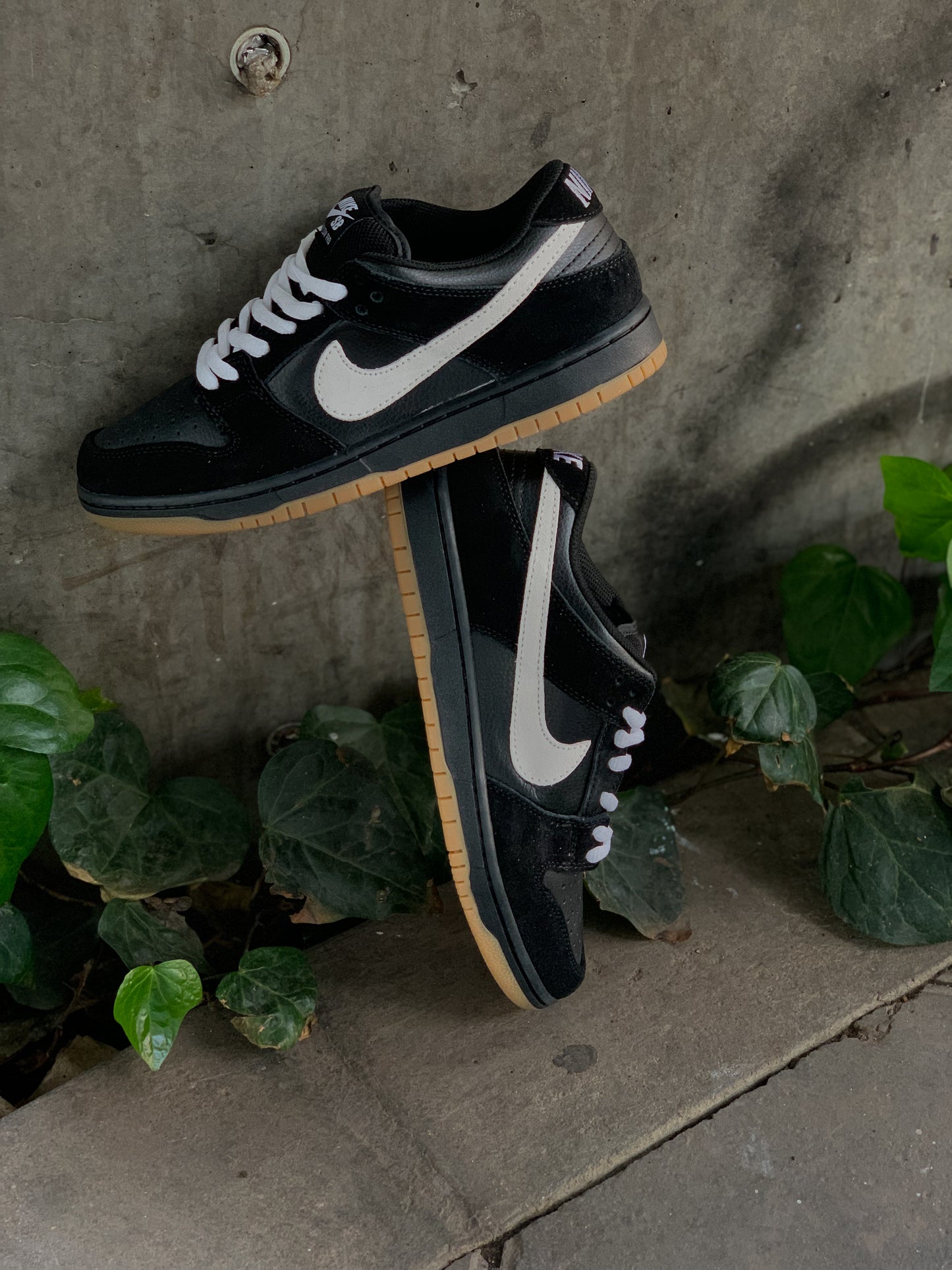 Nike SB Dunk Low Black/White/Gum