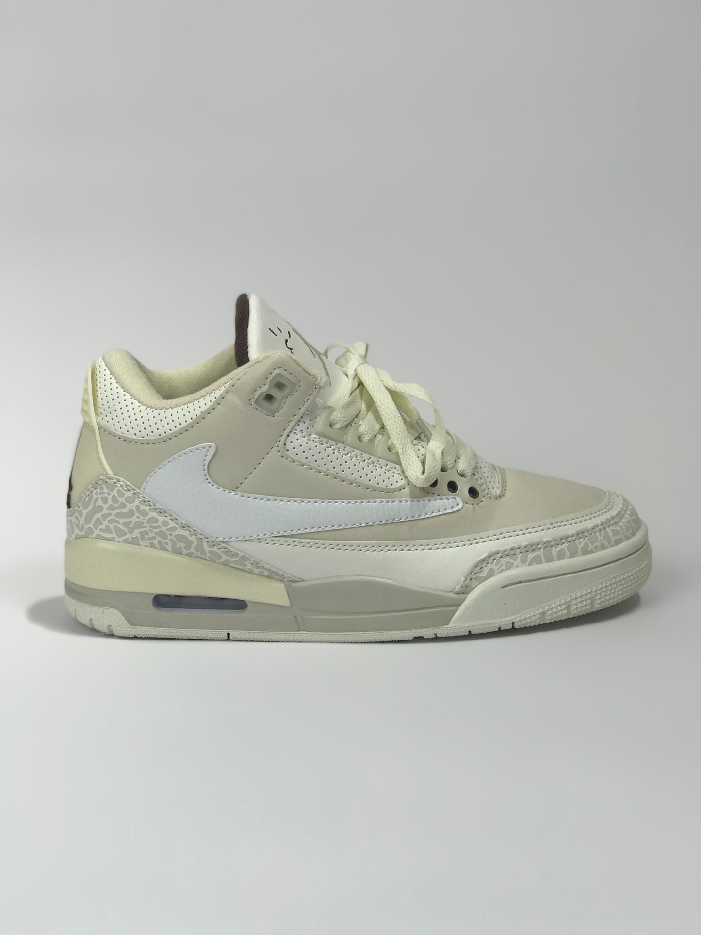 Air Jordan Retro 3 "Cactus" (Custom)