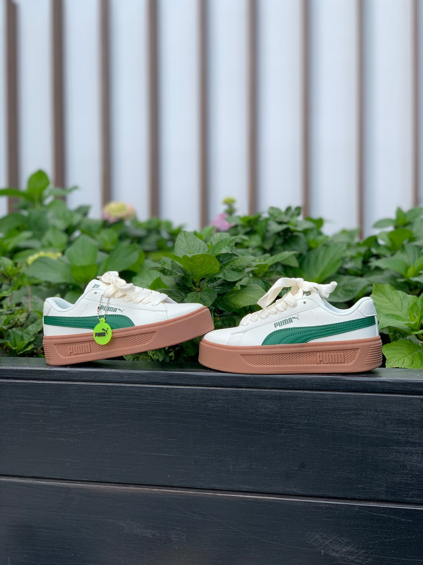 Puma New Park