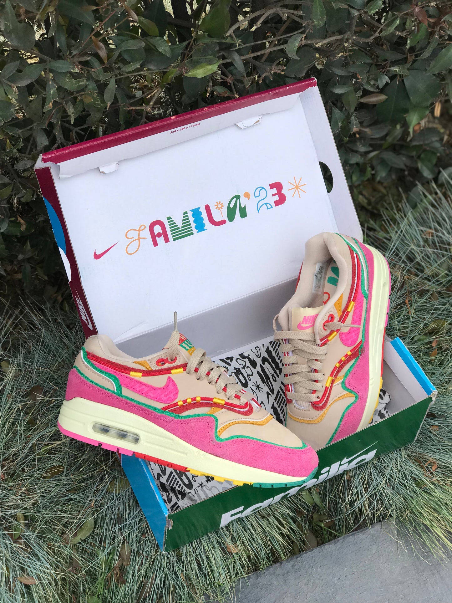 Nike Air Max 1 “Familia”