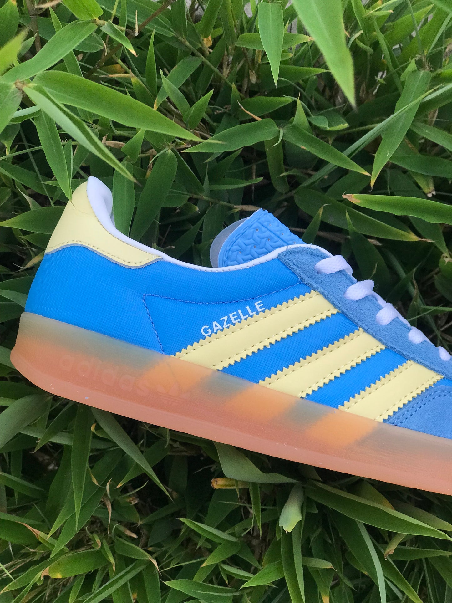 Adidas Gazelle Indoor Azul Amarilla