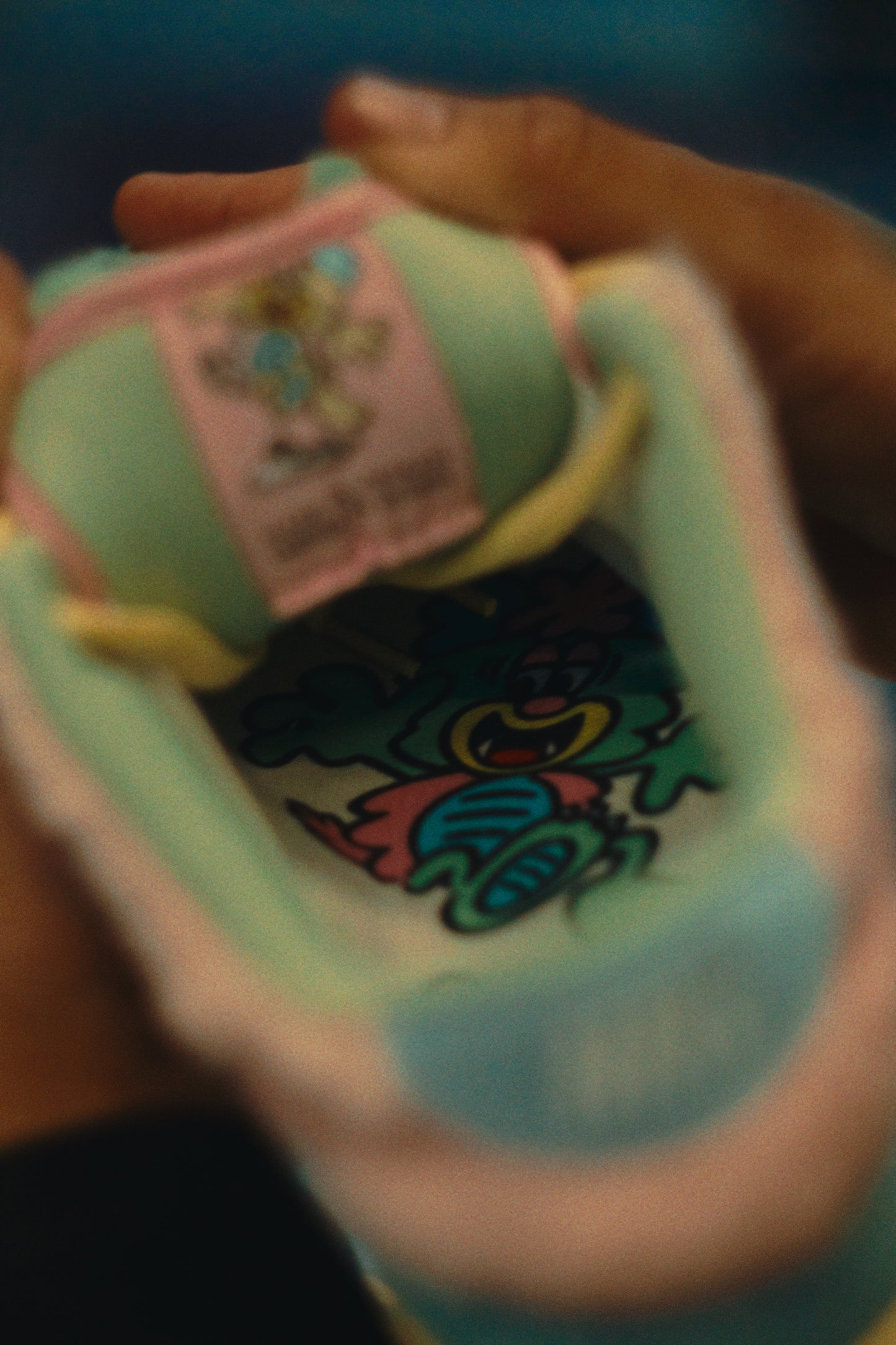 Nike SB Dunk Low Pro x Verdy
