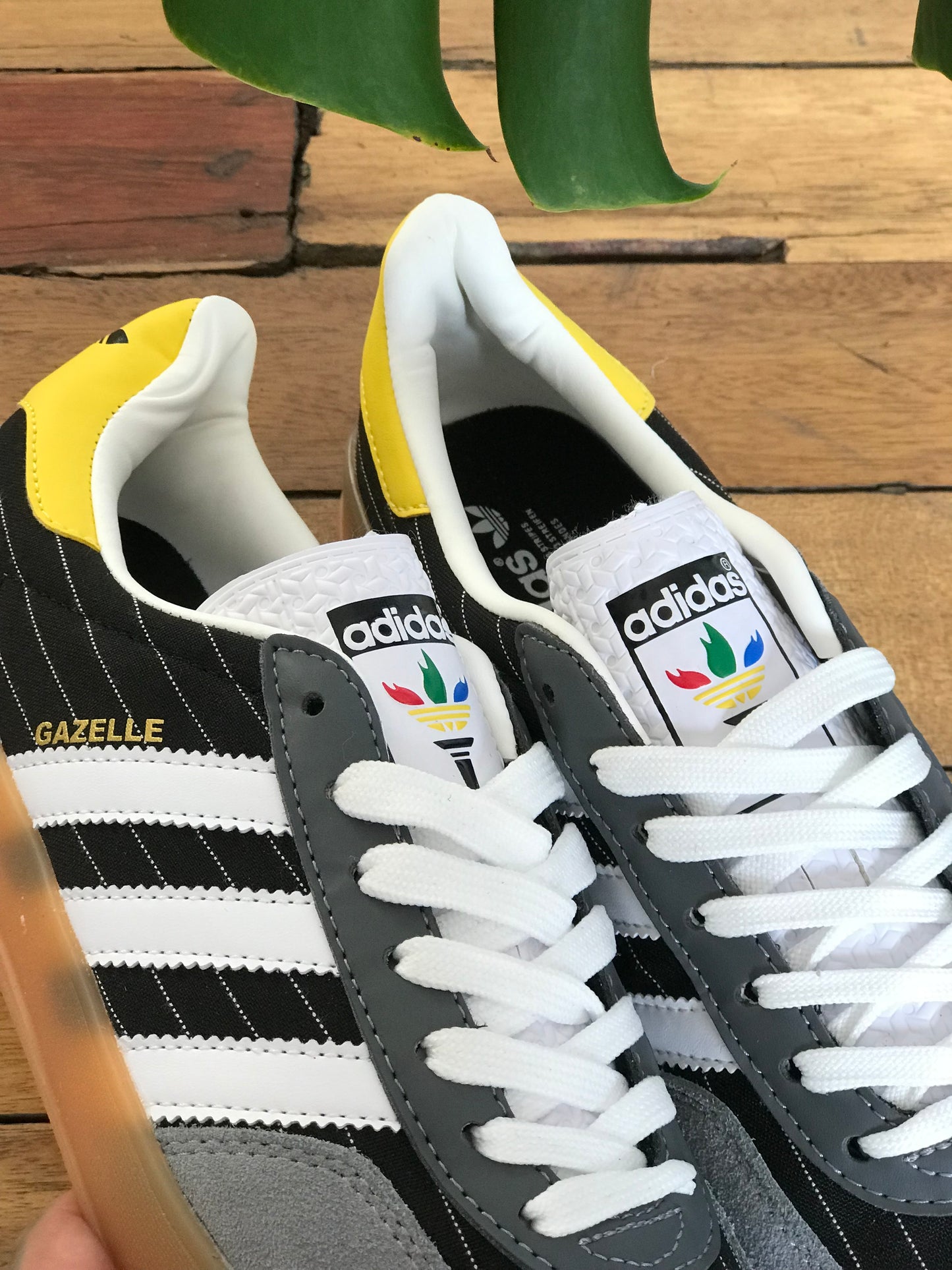 Adidas Gazelle Indoor "Olympic Pack" - Black