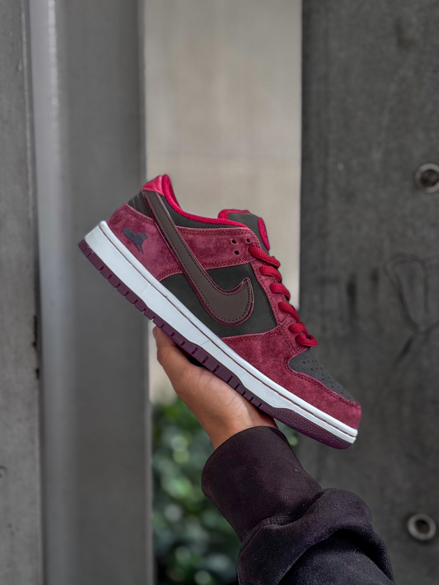 Nike SB Dunk Low Pro x Riot Skateshop