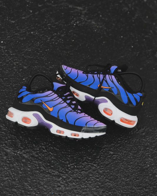 Nike Air Max plus TN “Midnight Purple”