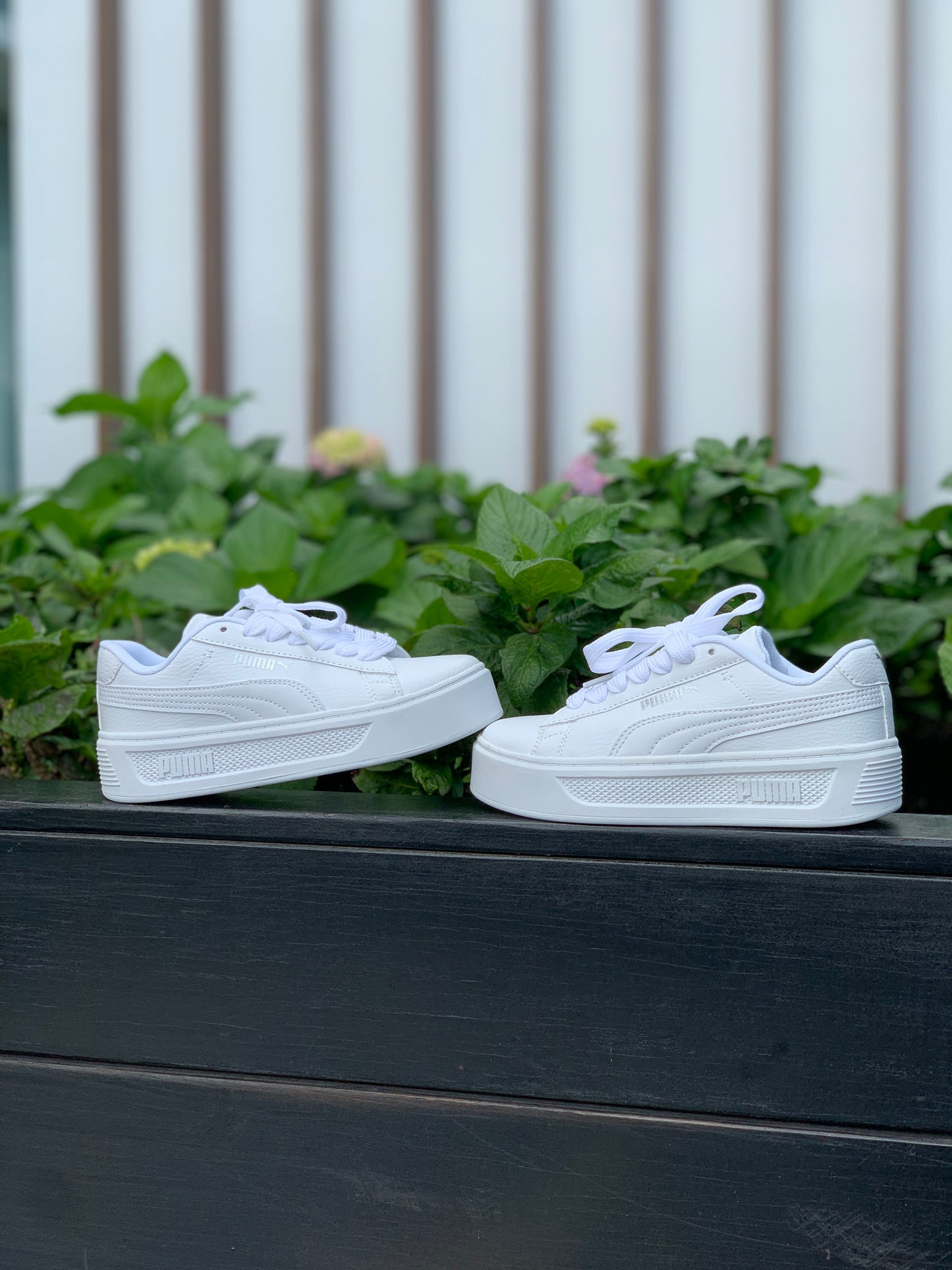 Puma New Park