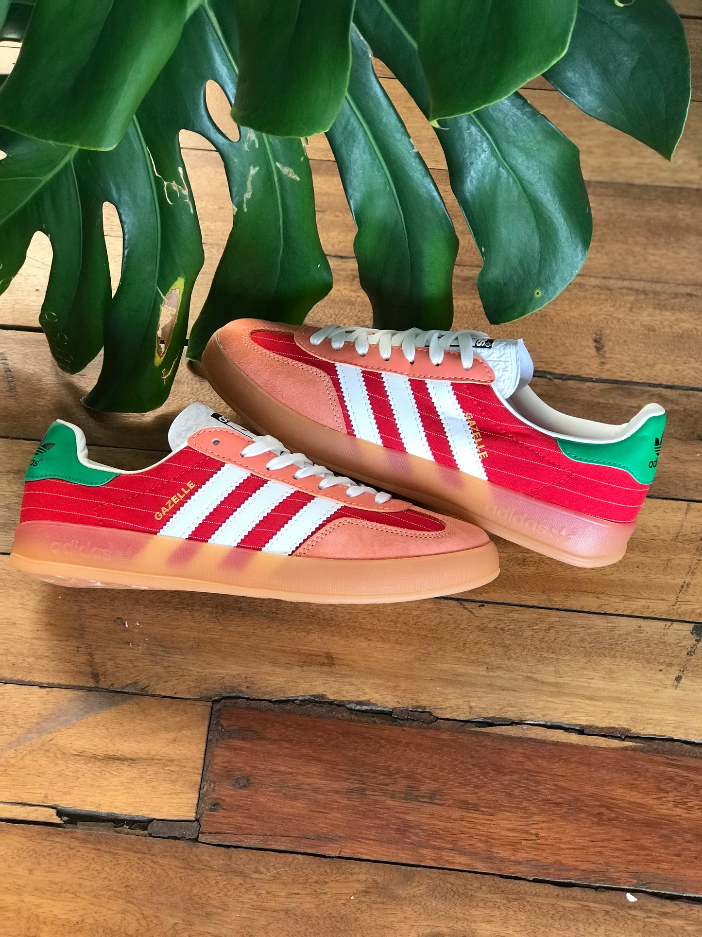 Adidas Gazelle Indoor "Olympic Pack" - Red