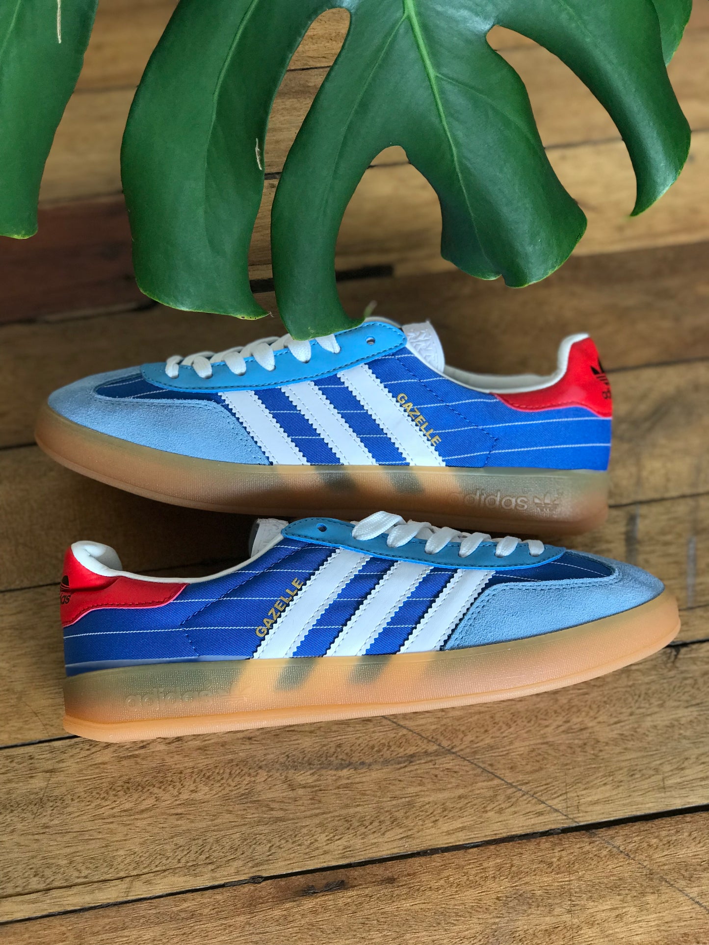 Adidas Gazelle Indoor "Olympic Pack" - Blue