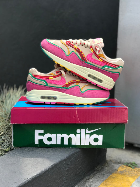 Nike Air Max 1 “Familia”
