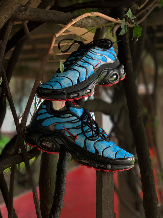 Air Max Plus Tn "Shark Attack"