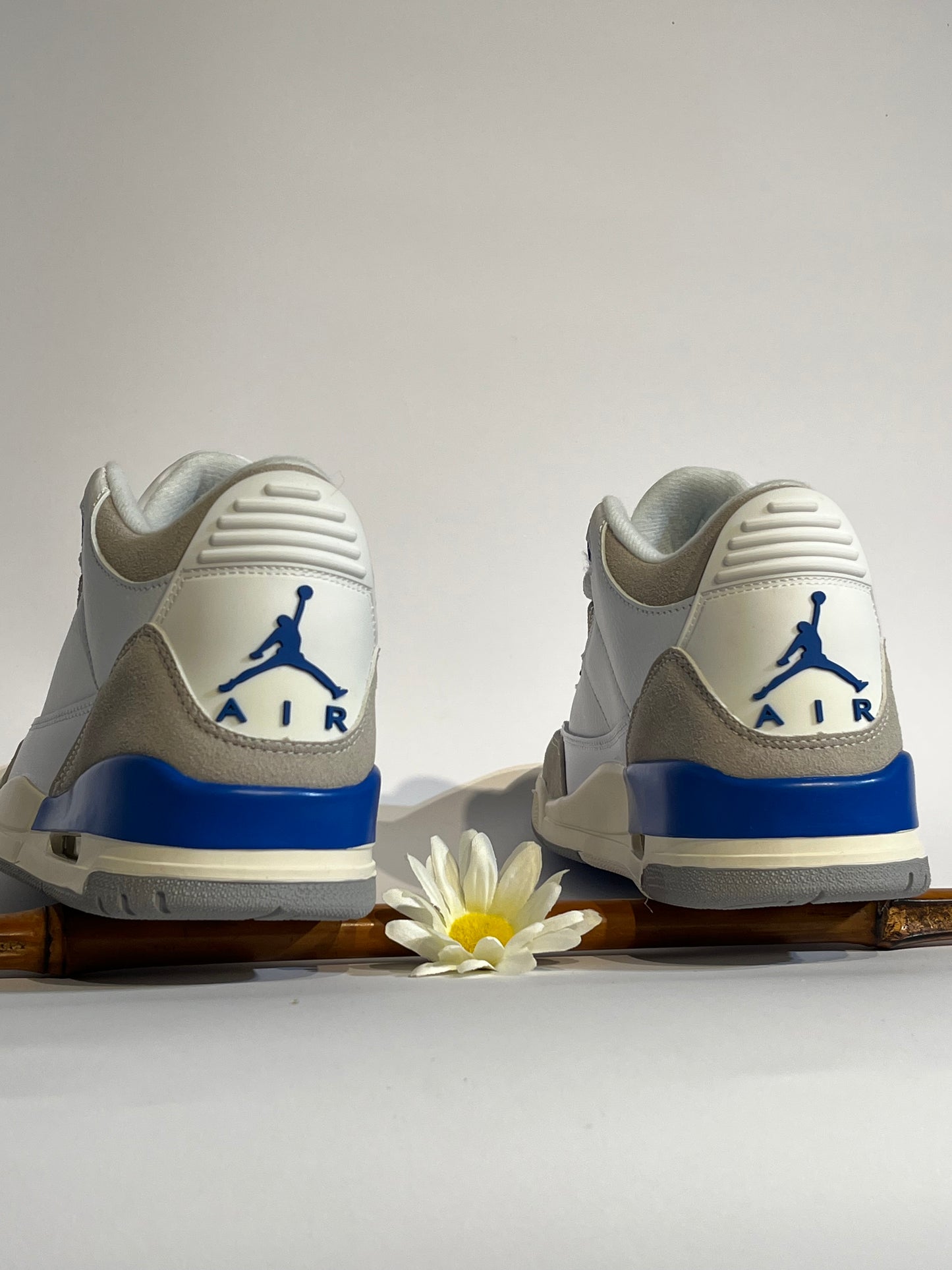 Air Jordan Retro 3 Lucky Shorts