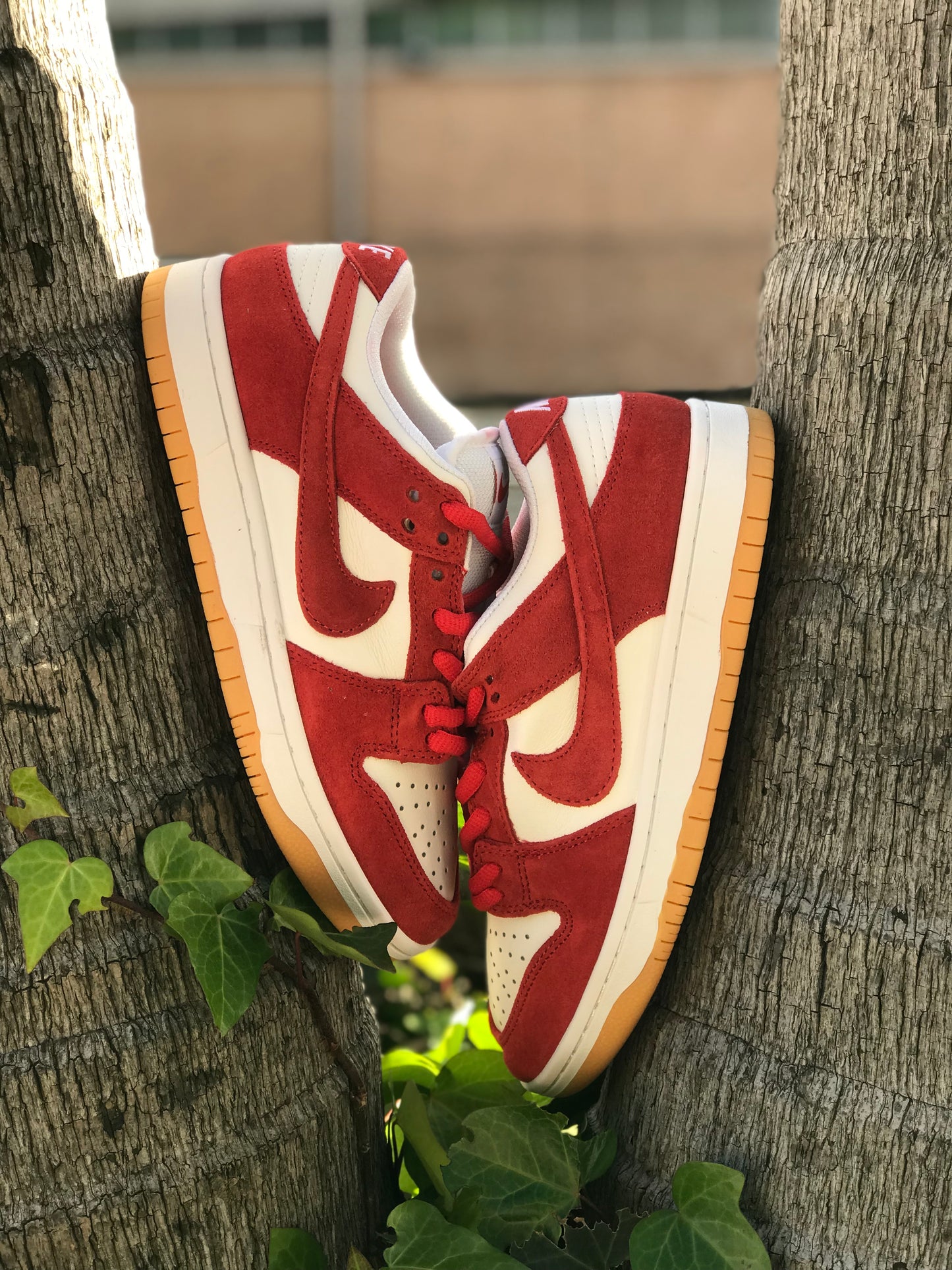 Nike SB Dunk Low "University Red Gum"