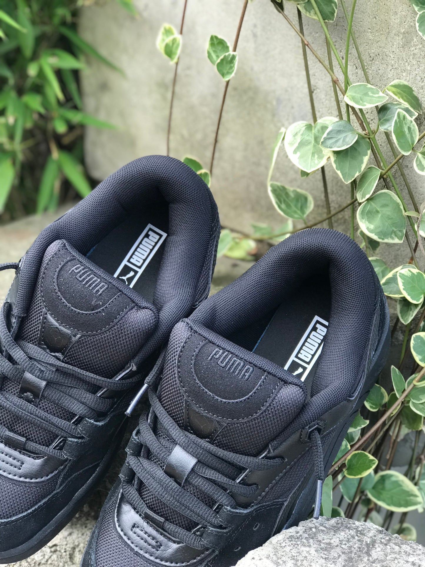 Puma 180 Negra