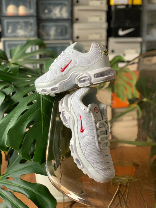 Nike Air Max Tn x Supreme