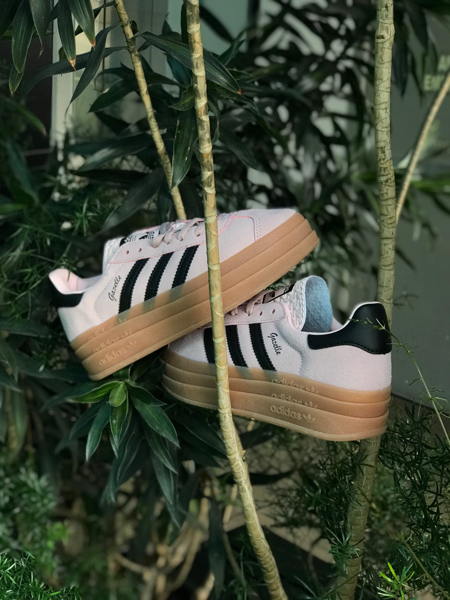 Adidas Gazelle Bold